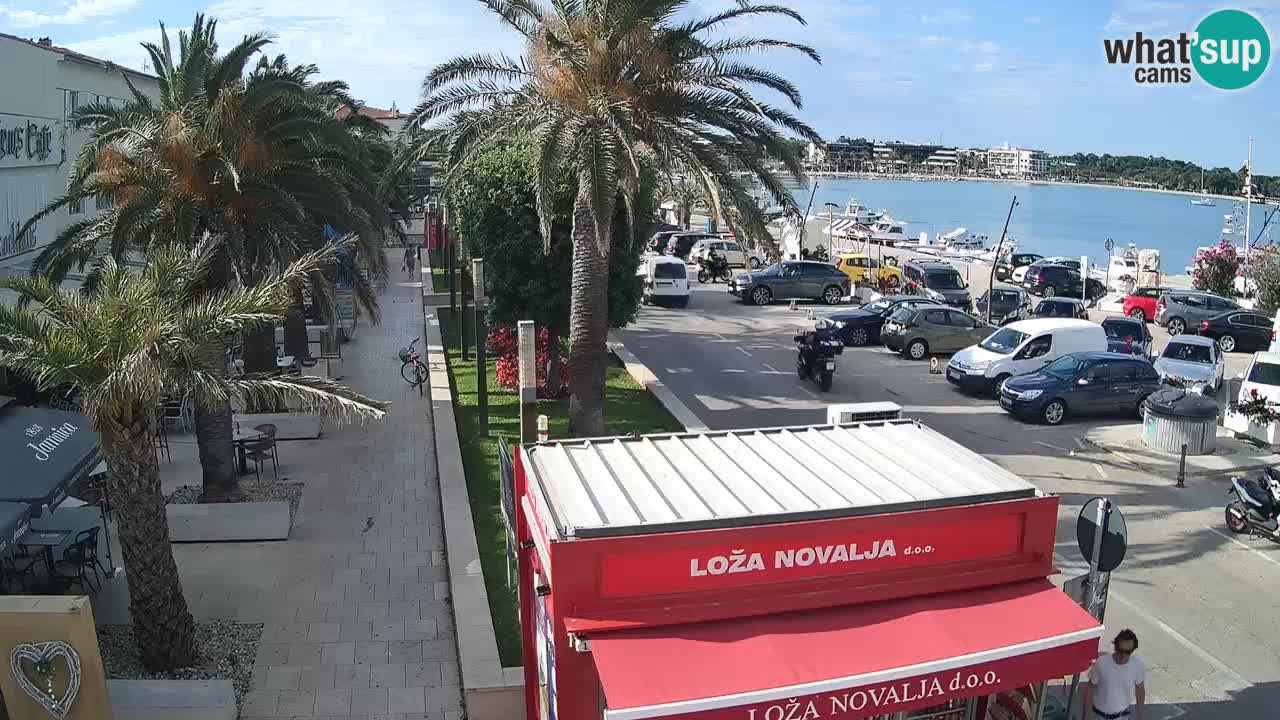 Camera en diecto Novalja – Obala Petra Krešimira IV