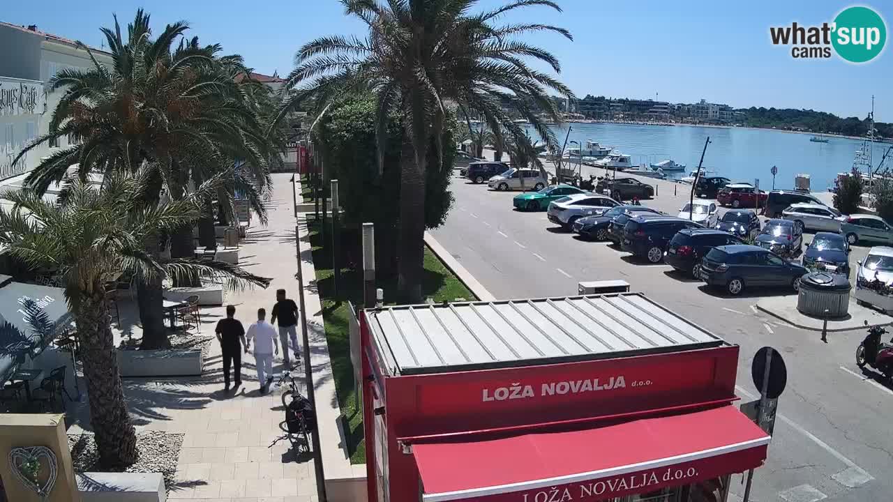Camera en diecto Novalja – Obala Petra Krešimira IV