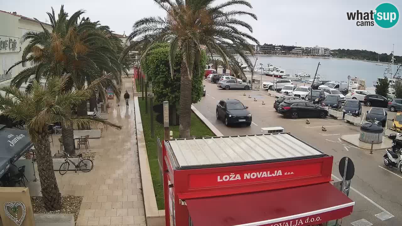 Camera en diecto Novalja – Obala Petra Krešimira IV