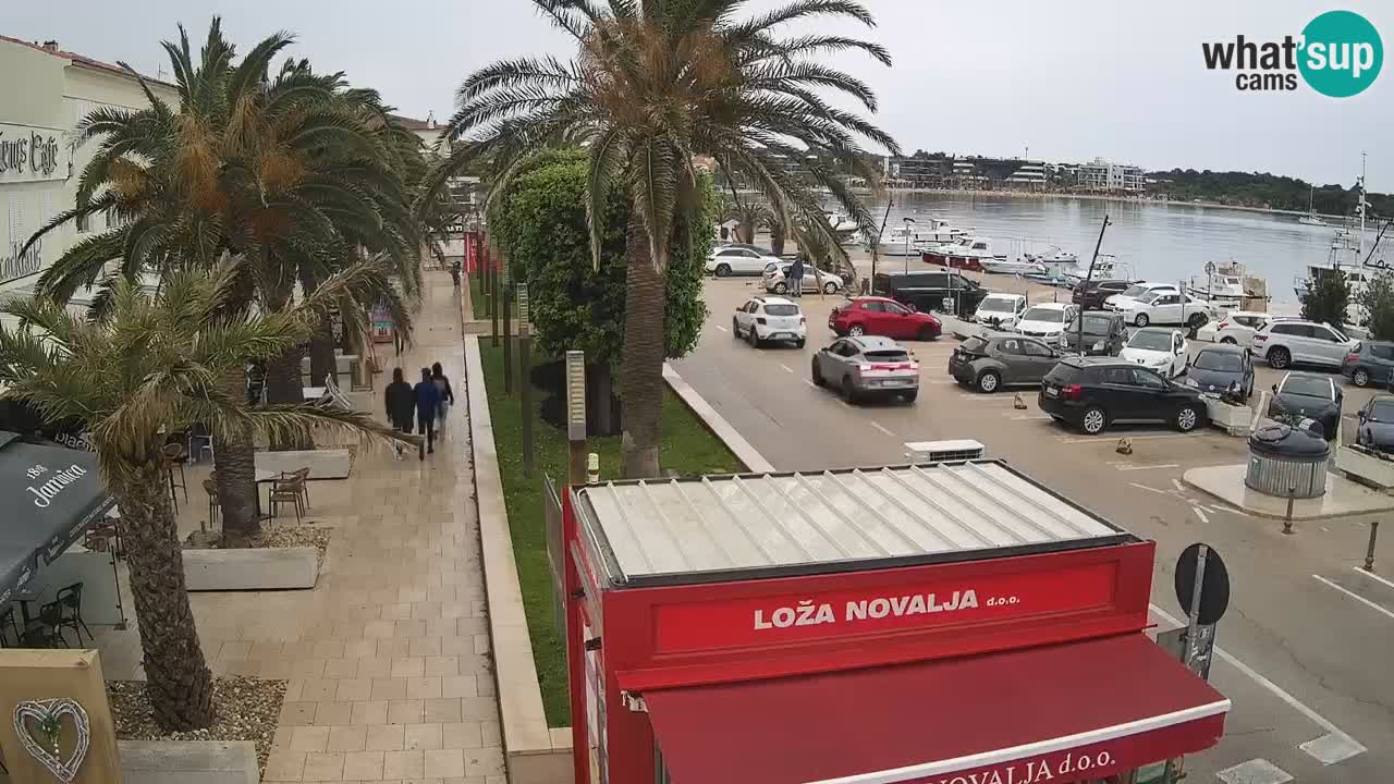 Camera en diecto Novalja – Obala Petra Krešimira IV