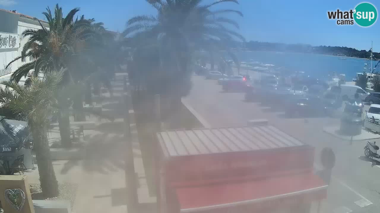 Camera en diecto Novalja – Obala Petra Krešimira IV