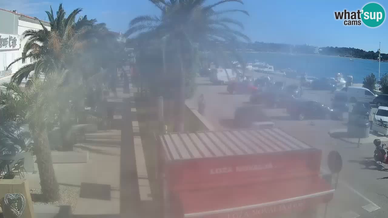 Camera en diecto Novalja – Obala Petra Krešimira IV