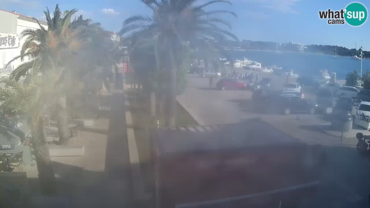 Camera en diecto Novalja – Obala Petra Krešimira IV