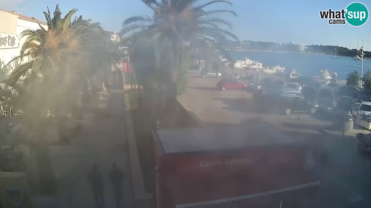 Live cam Novalja – Obala Petra Krešimira IV