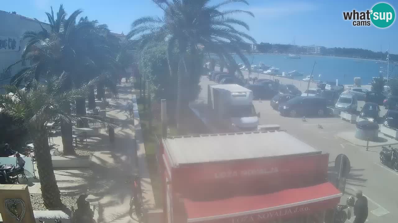 Camera en diecto Novalja – Obala Petra Krešimira IV