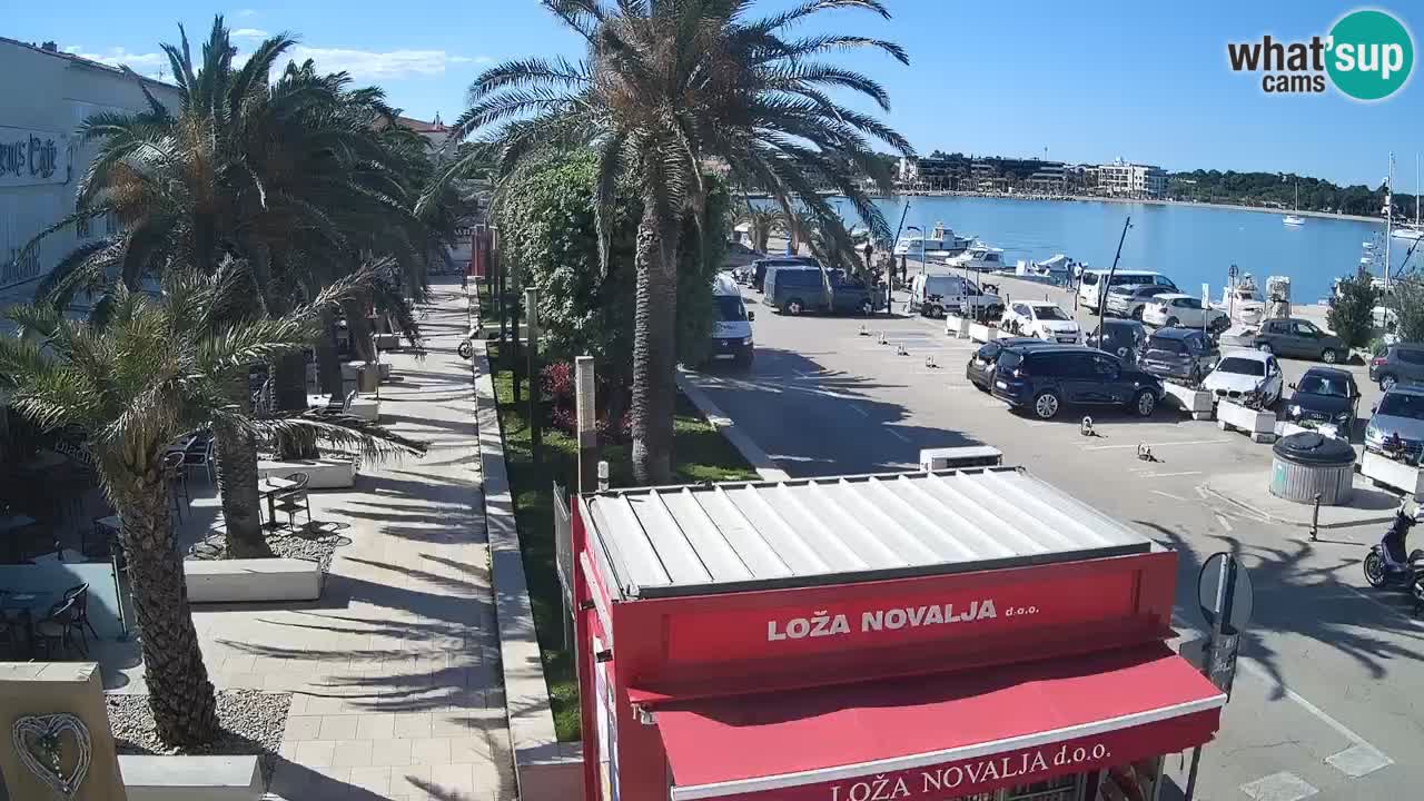 Camera en diecto Novalja – Obala Petra Krešimira IV