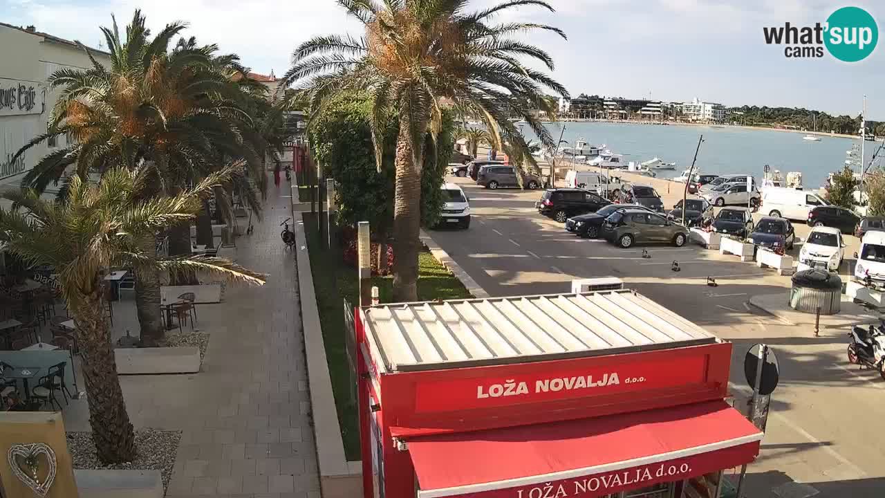 Camera en diecto Novalja – Obala Petra Krešimira IV