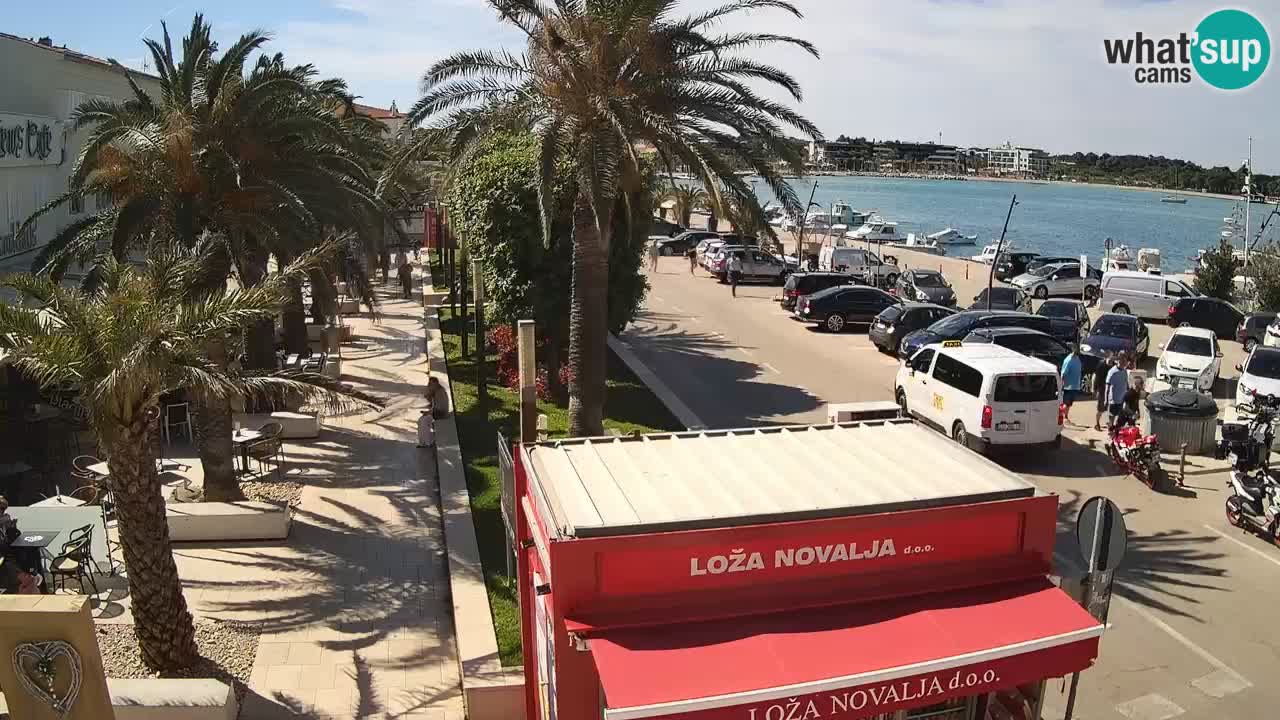 Web kamera Novalja – Obala Petra Krešimira IV