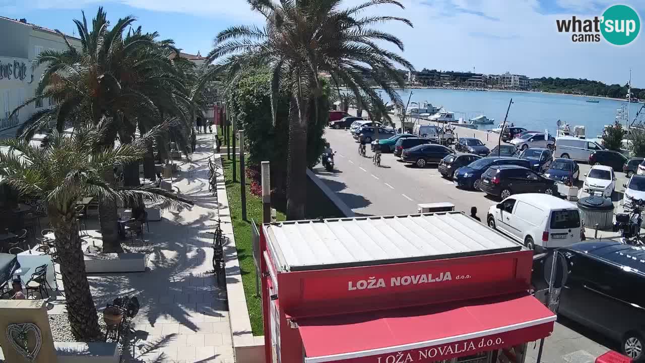 Web kamera Novalja – Obala Petra Krešimira IV
