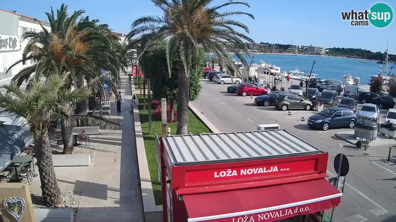 Camera en diecto Novalja – Obala Petra Krešimira IV