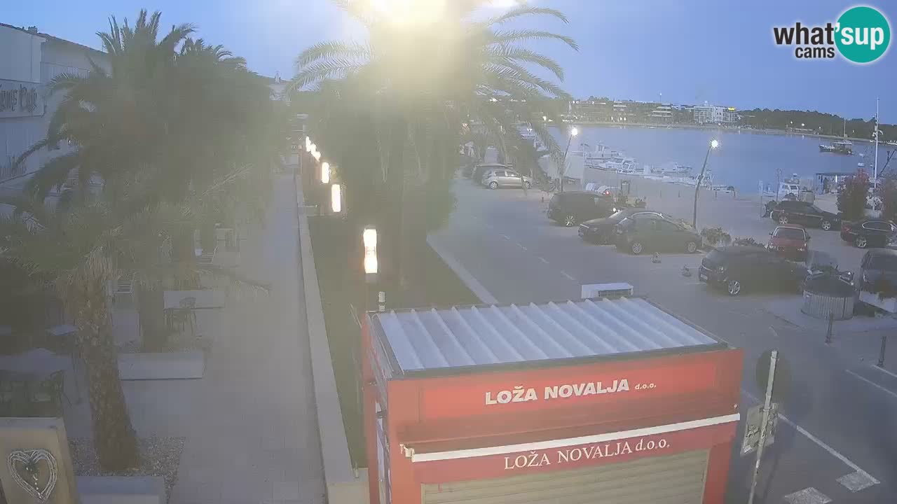 Camera en diecto Novalja – Obala Petra Krešimira IV