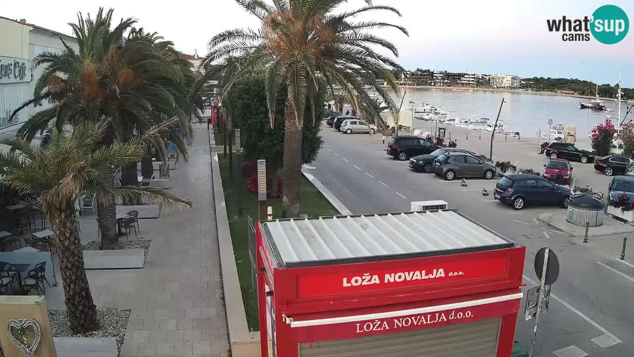 Camera en diecto Novalja – Obala Petra Krešimira IV