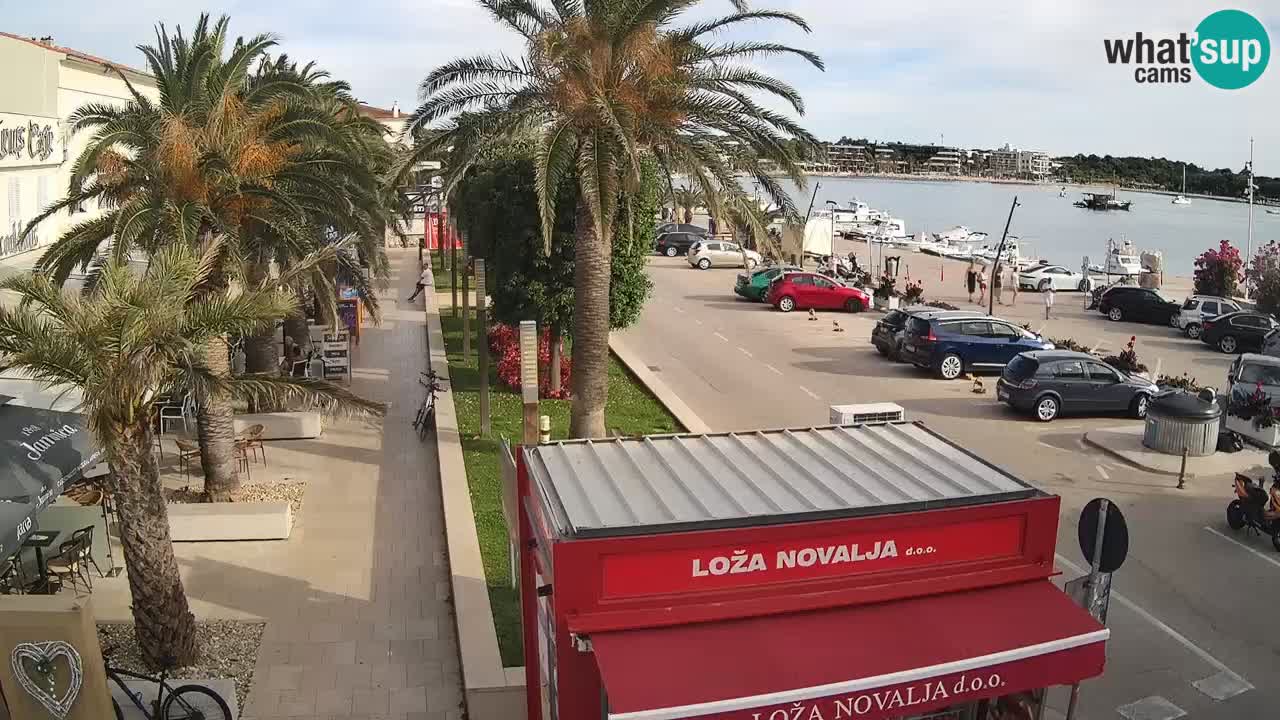 Camera en diecto Novalja – Obala Petra Krešimira IV