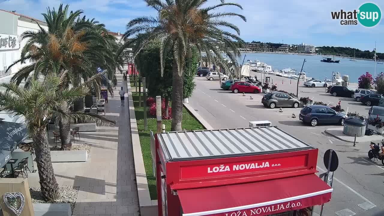 Camera en diecto Novalja – Obala Petra Krešimira IV