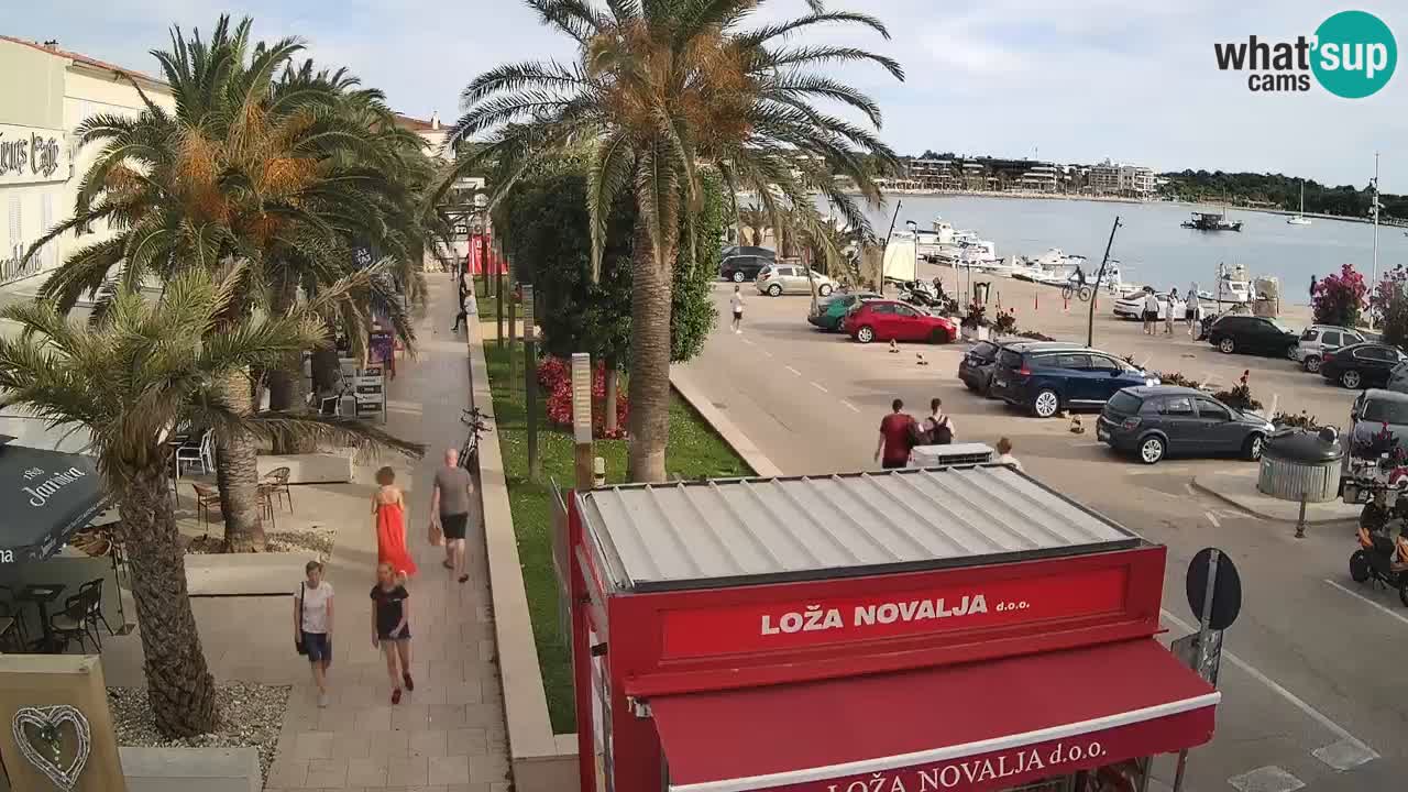 Camera en diecto Novalja – Obala Petra Krešimira IV