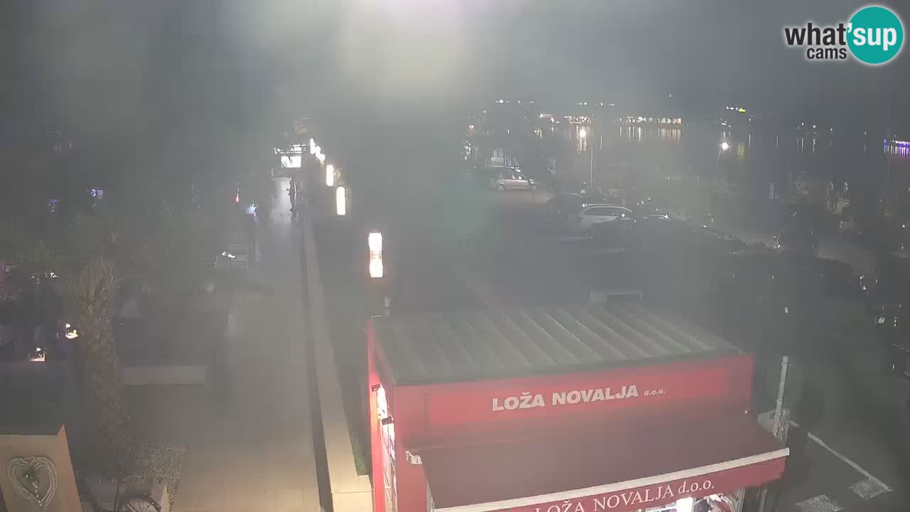 Camera en diecto Novalja – Obala Petra Krešimira IV
