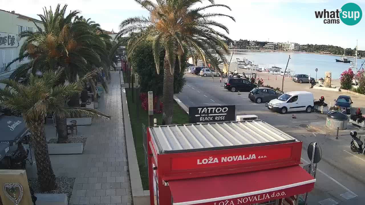 Webcam Novalja – Obala Petra Krešimira IV