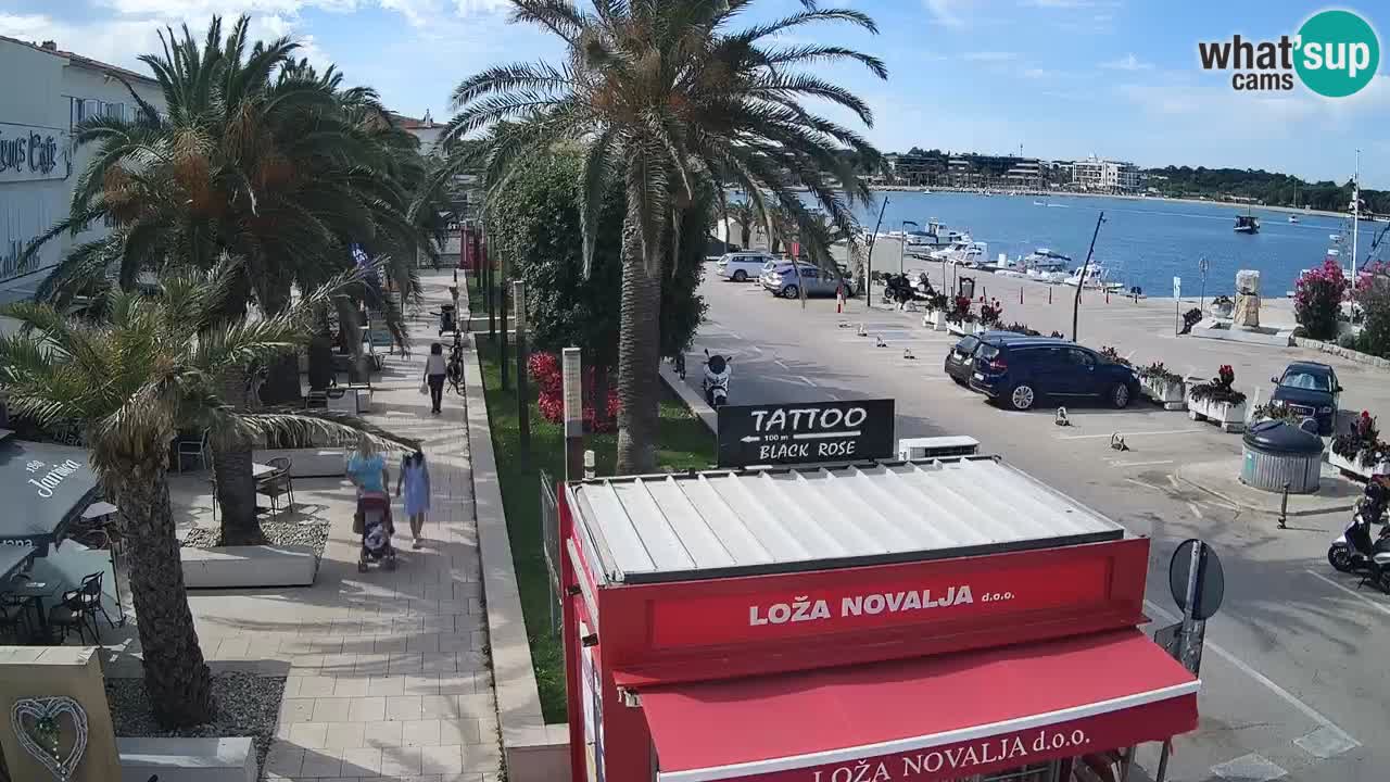 Spletna kamera Novalja – Obala Petra Krešimira IV