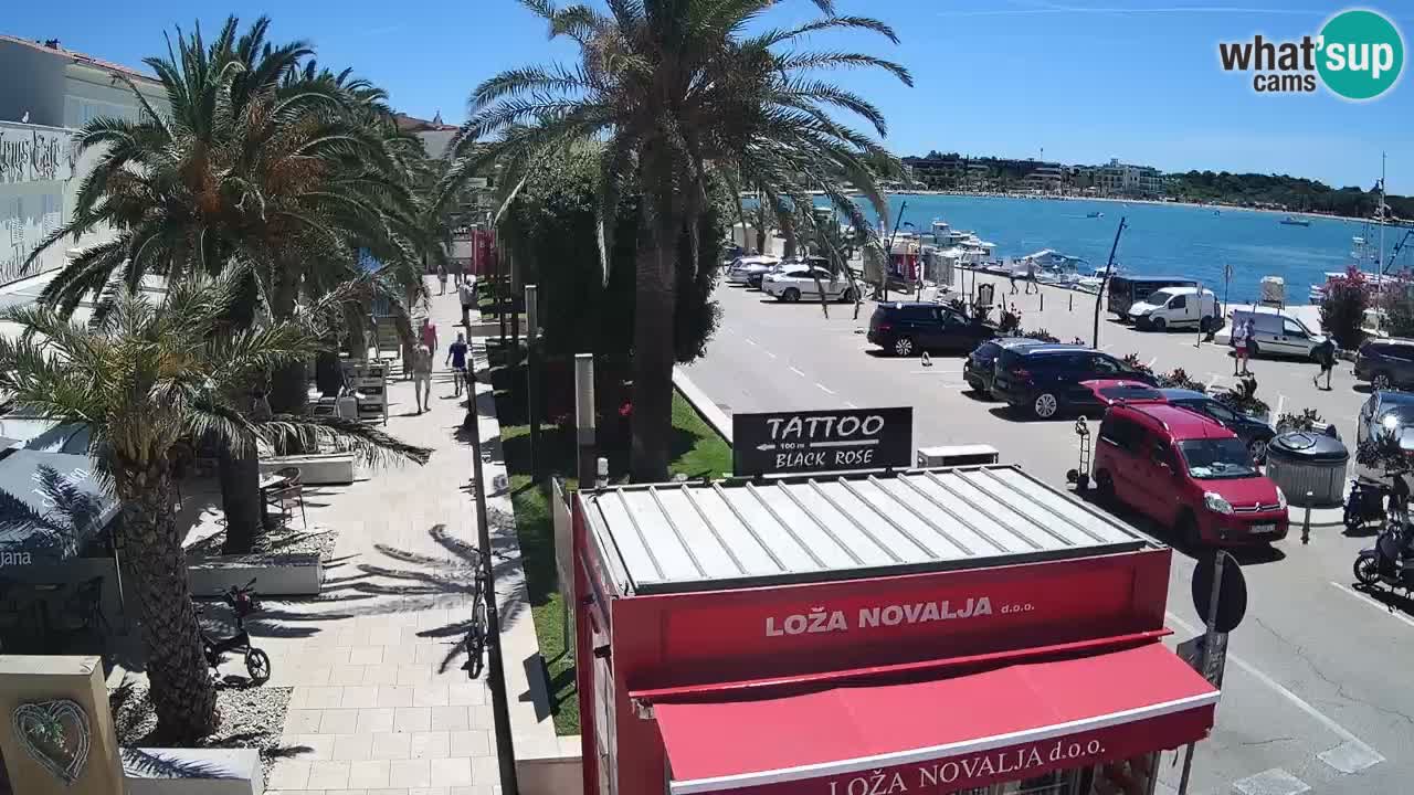 Live cam Novalja – Obala Petra Krešimira IV