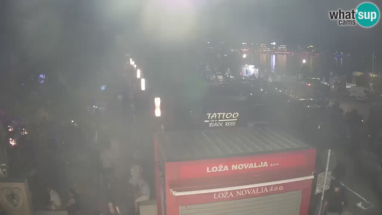 Camera en diecto Novalja – Obala Petra Krešimira IV