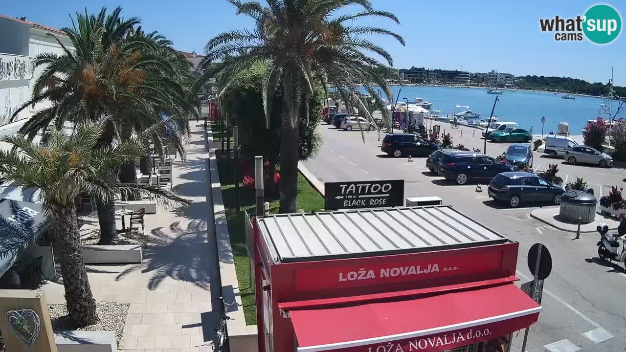 Spletna kamera Novalja – Obala Petra Krešimira IV