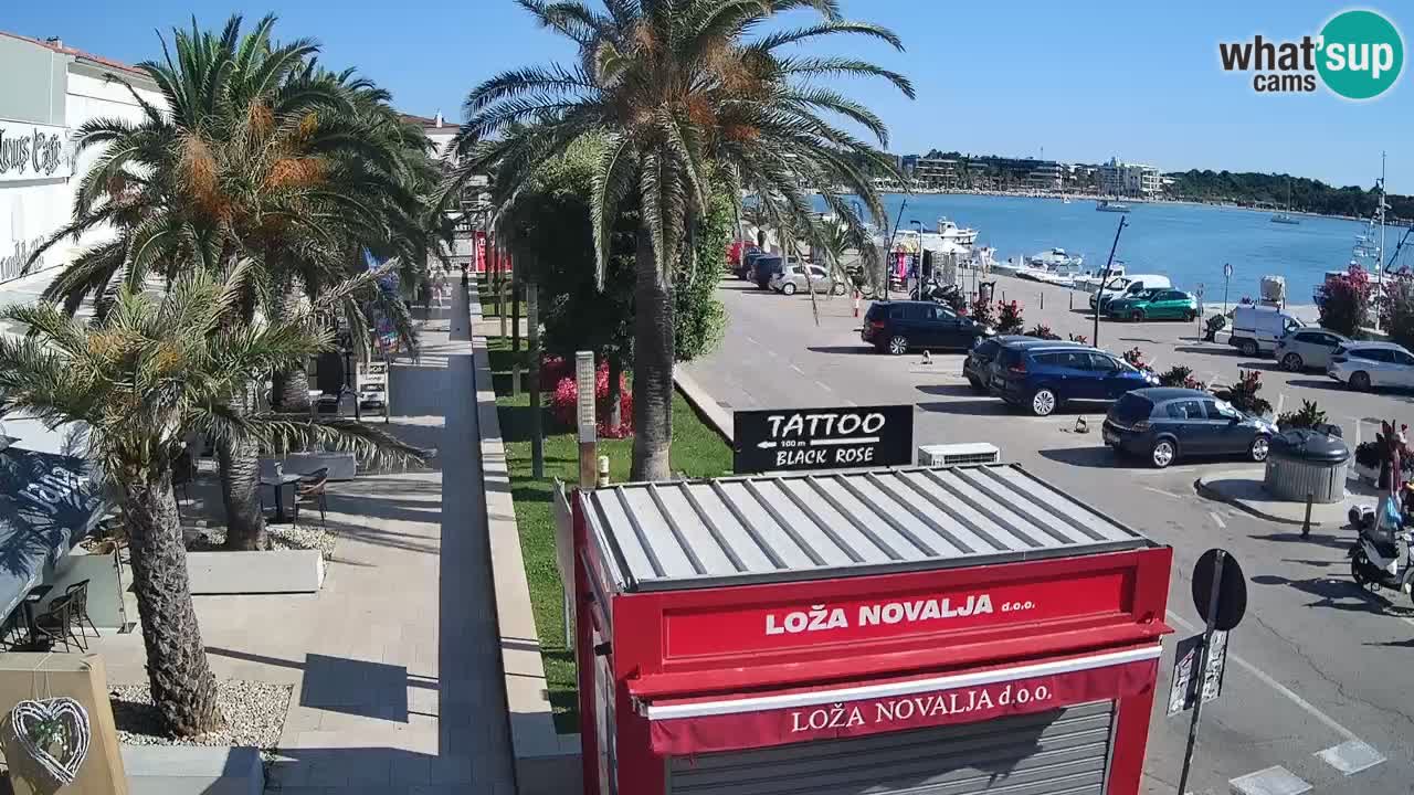 Webcam live Novalja – Obala Petra Krešimira IV
