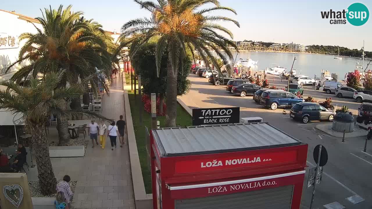Camera en diecto Novalja – Obala Petra Krešimira IV