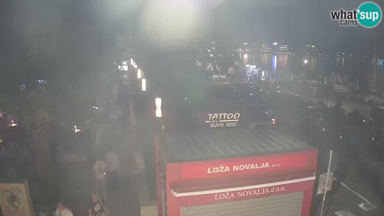 Camera en diecto Novalja – Obala Petra Krešimira IV