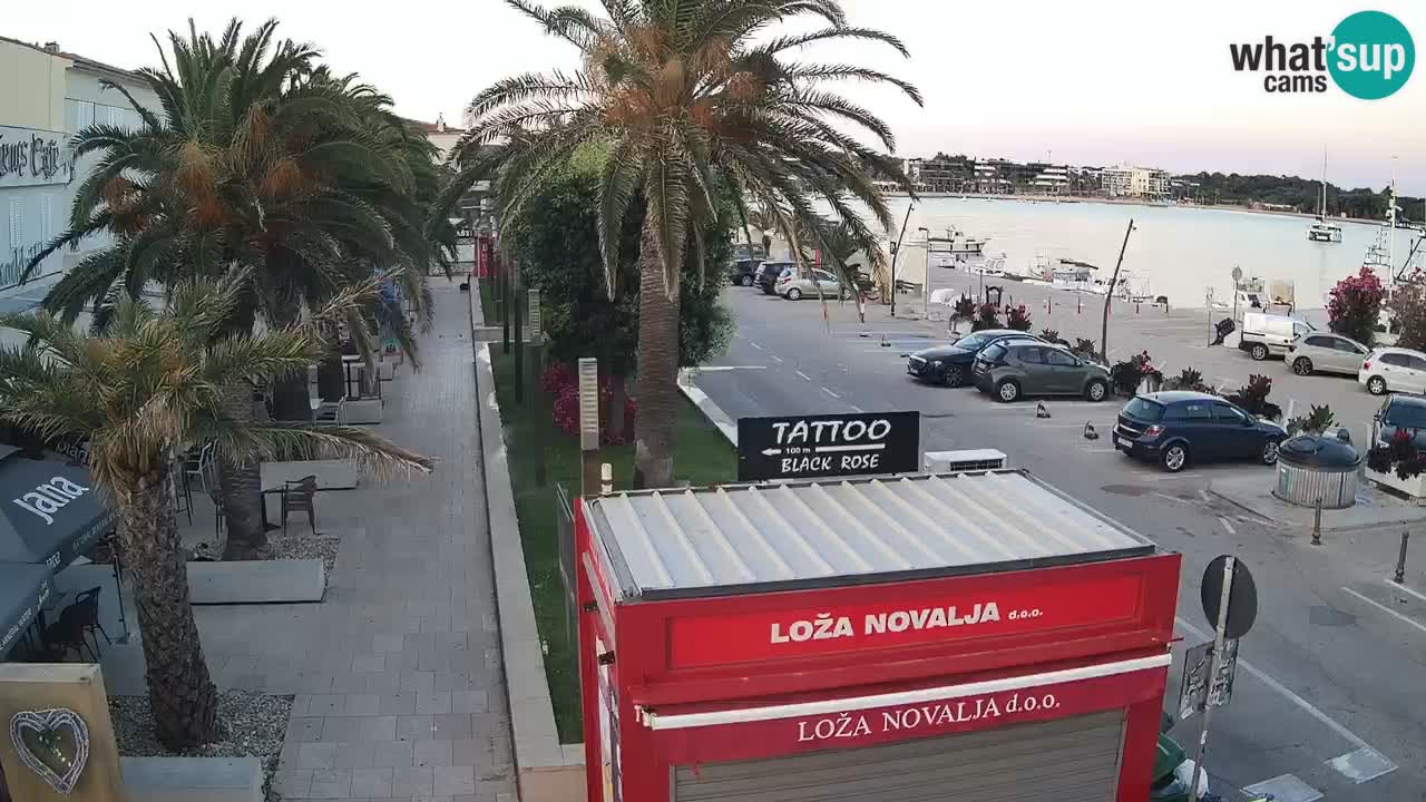 Camera en diecto Novalja – Obala Petra Krešimira IV