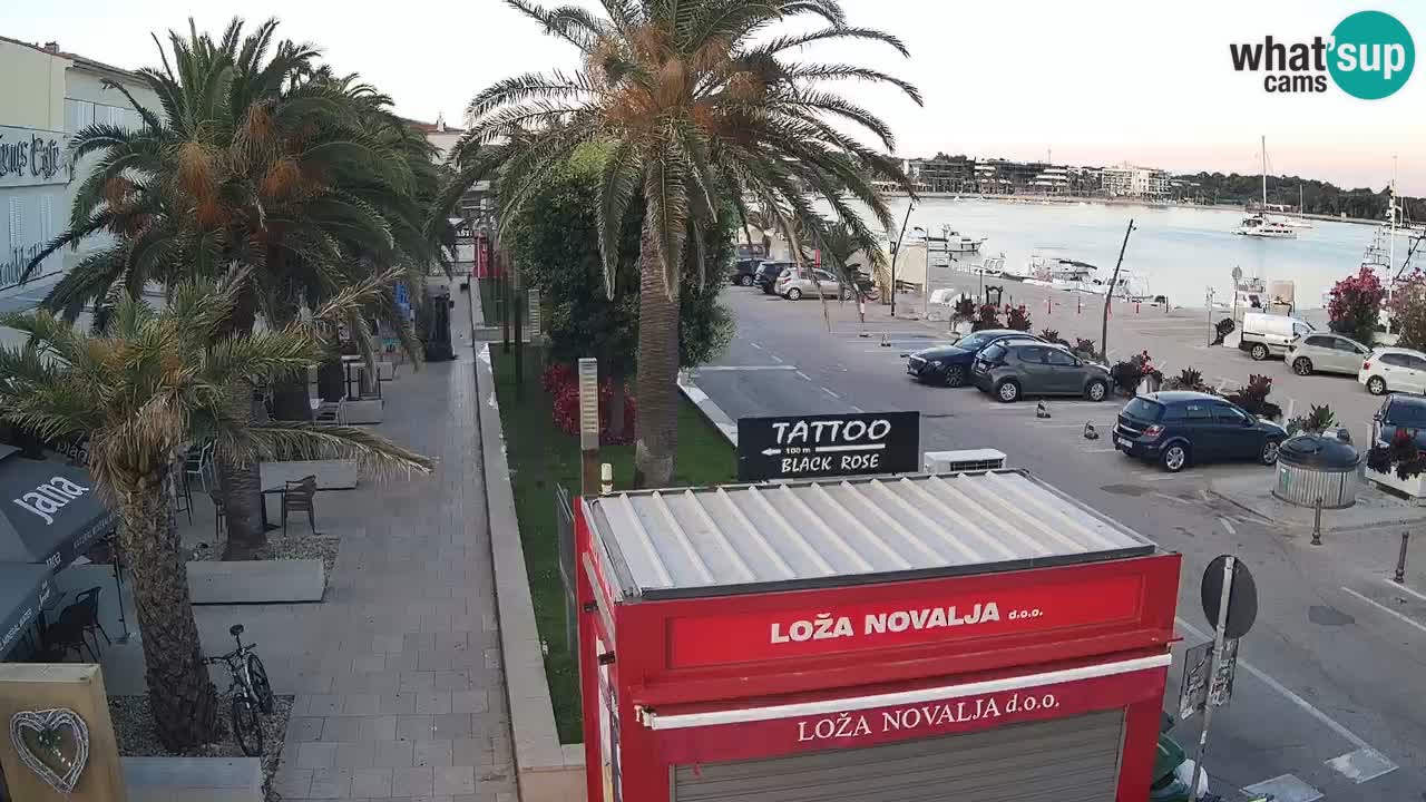 Camera en diecto Novalja – Obala Petra Krešimira IV