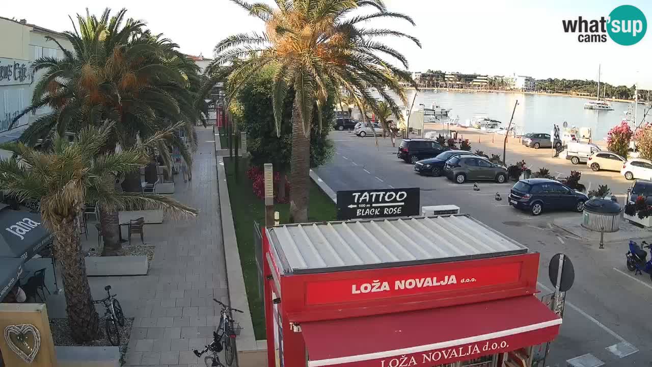 Live cam Novalja – Obala Petra Krešimira IV