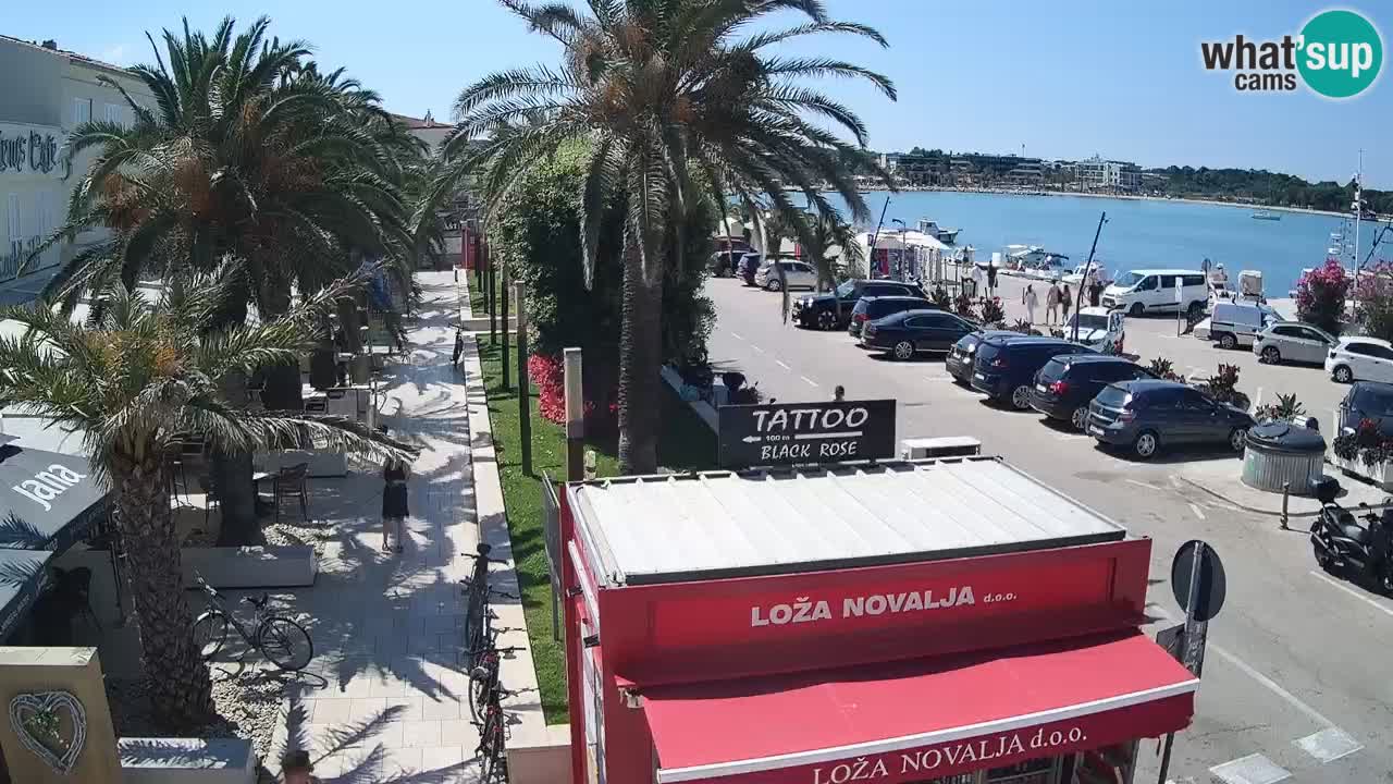 Live cam Novalja – Obala Petra Krešimira IV