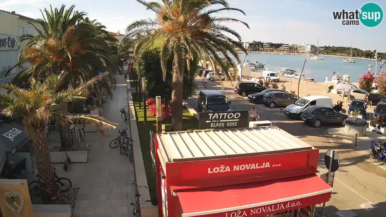 Camera en diecto Novalja – Obala Petra Krešimira IV