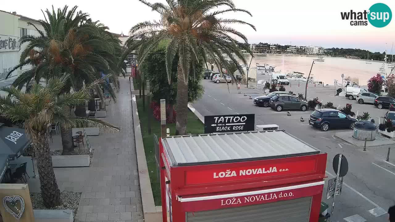 Camera en diecto Novalja – Obala Petra Krešimira IV