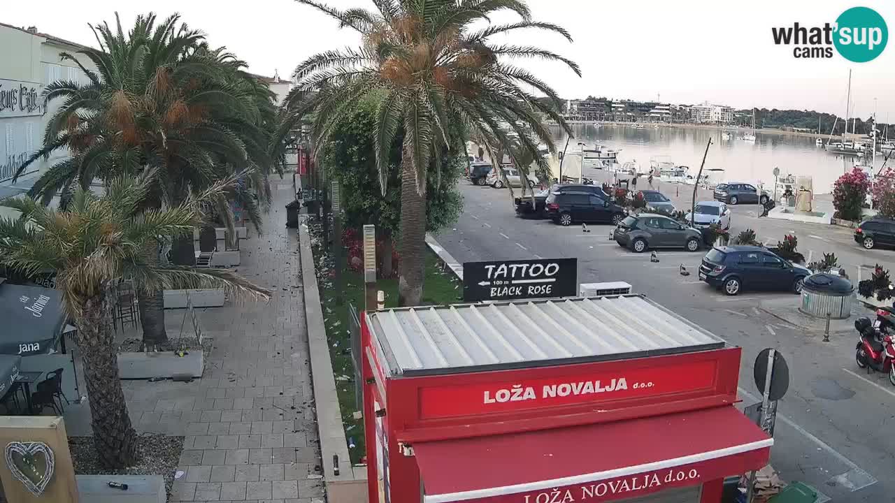 Webcam Novalja – Obala Petra Krešimira IV