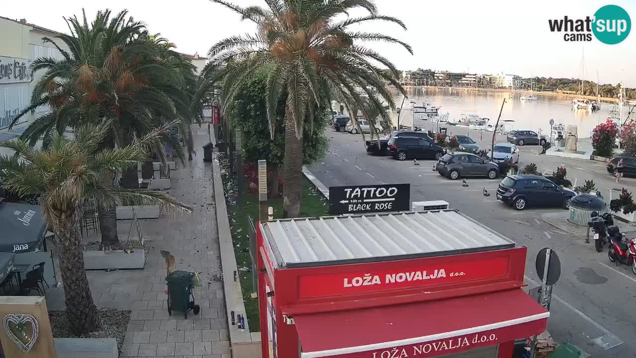 Live cam Novalja – Obala Petra Krešimira IV