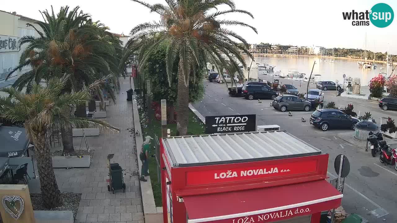 Camera en diecto Novalja – Obala Petra Krešimira IV