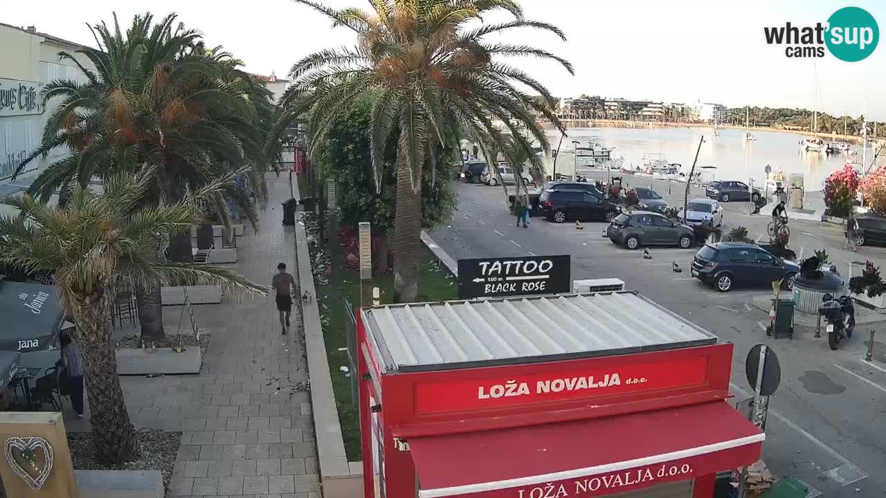 Spletna kamera Novalja – Obala Petra Krešimira IV