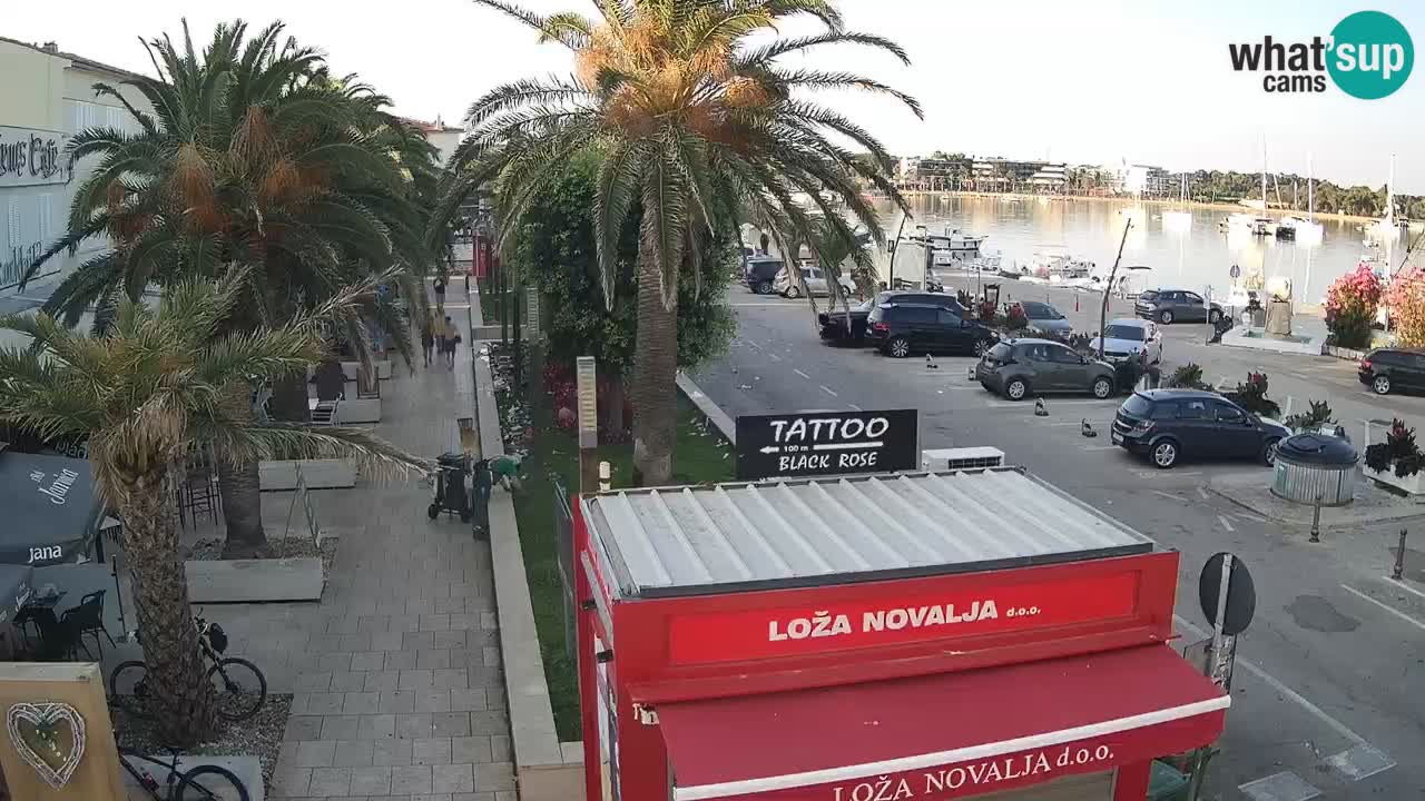 Spletna kamera Novalja – Obala Petra Krešimira IV