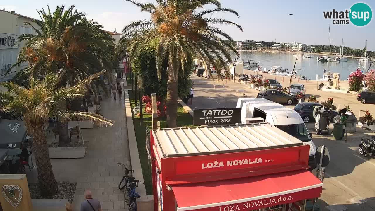 Webcam Novalja – Obala Petra Krešimira IV