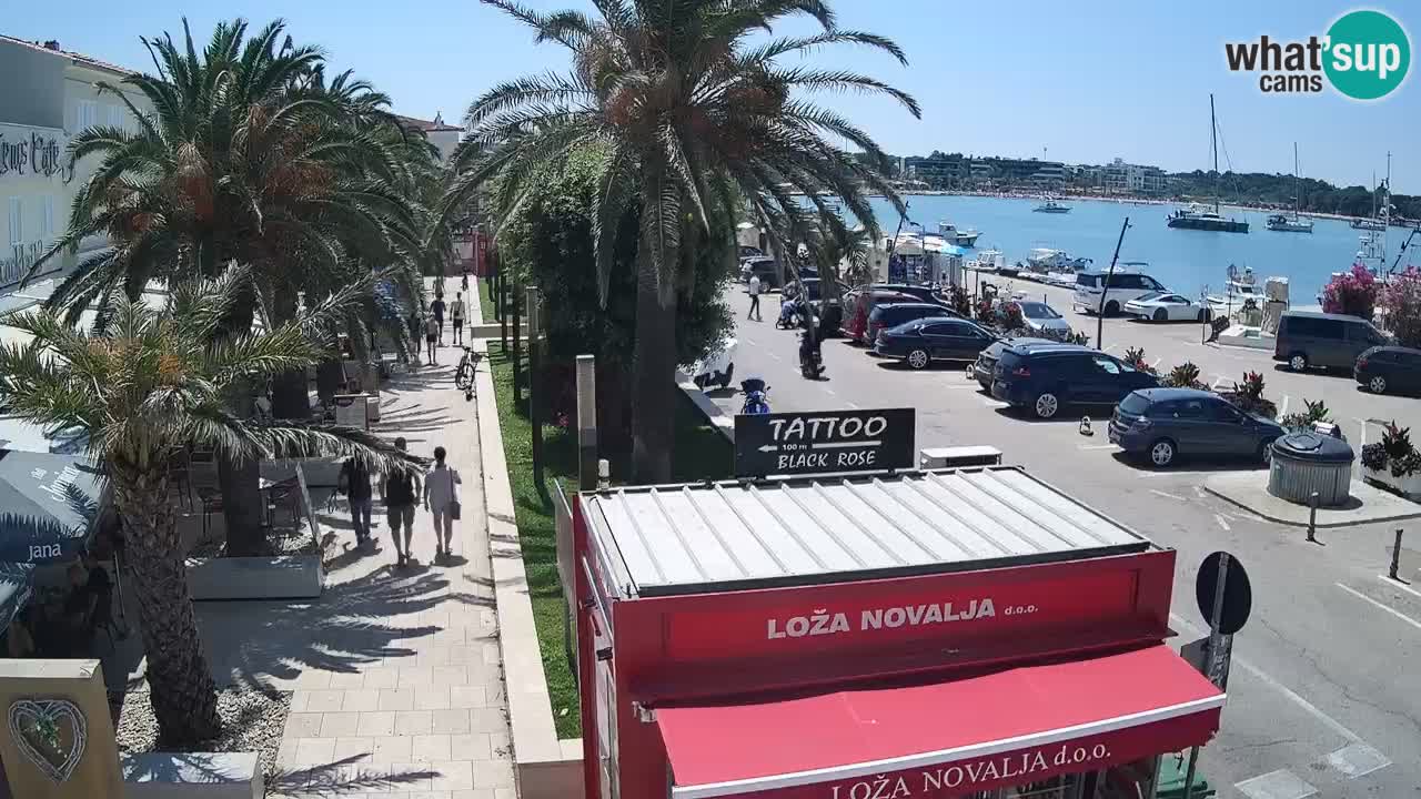 Camera en diecto Novalja – Obala Petra Krešimira IV