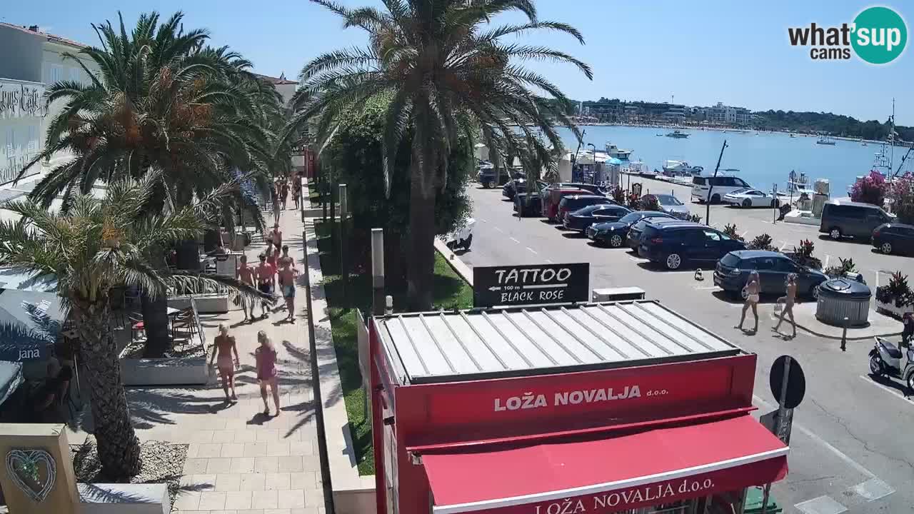 Camera en diecto Novalja – Obala Petra Krešimira IV