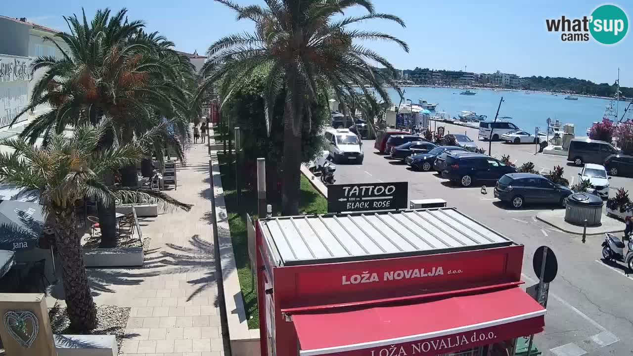 Webcam Novalja – Obala Petra Krešimira IV