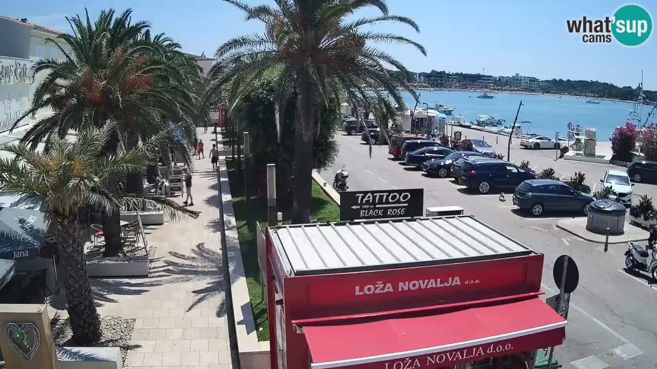 Live cam Novalja – Obala Petra Krešimira IV