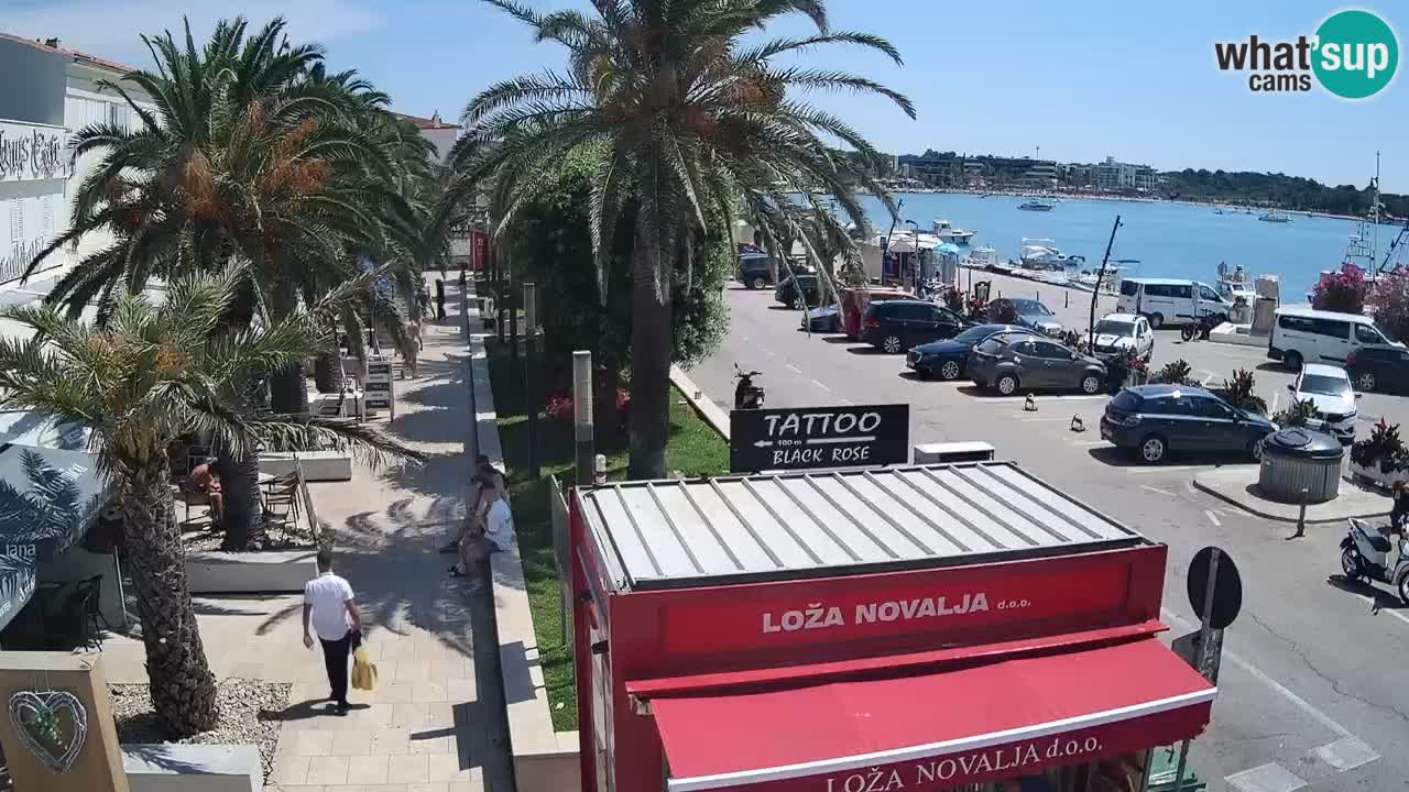 Camera en diecto Novalja – Obala Petra Krešimira IV
