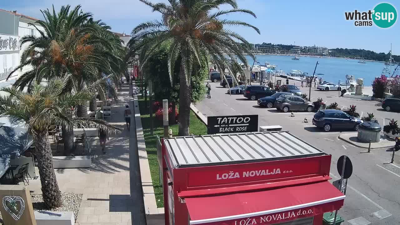 Live cam Novalja – Obala Petra Krešimira IV