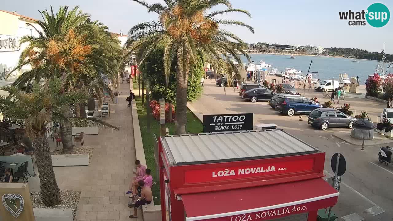 Camera en diecto Novalja – Obala Petra Krešimira IV