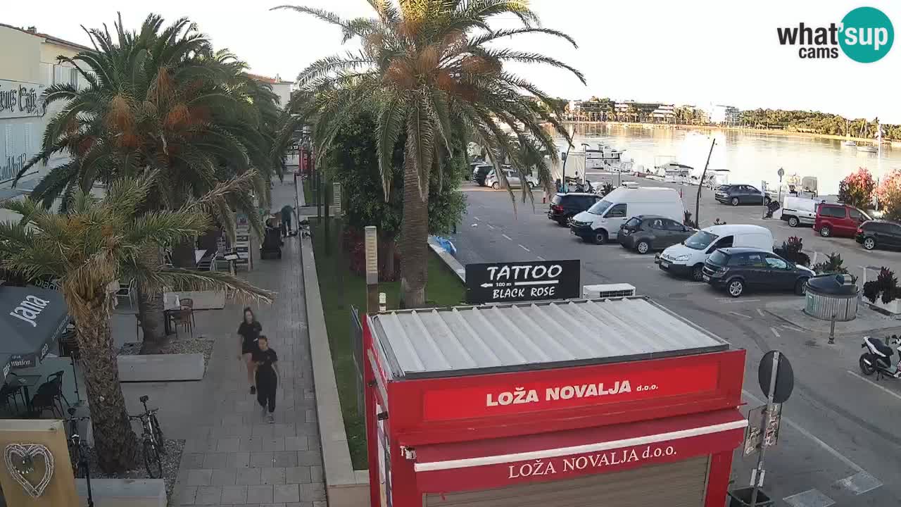 Camera en diecto Novalja – Obala Petra Krešimira IV
