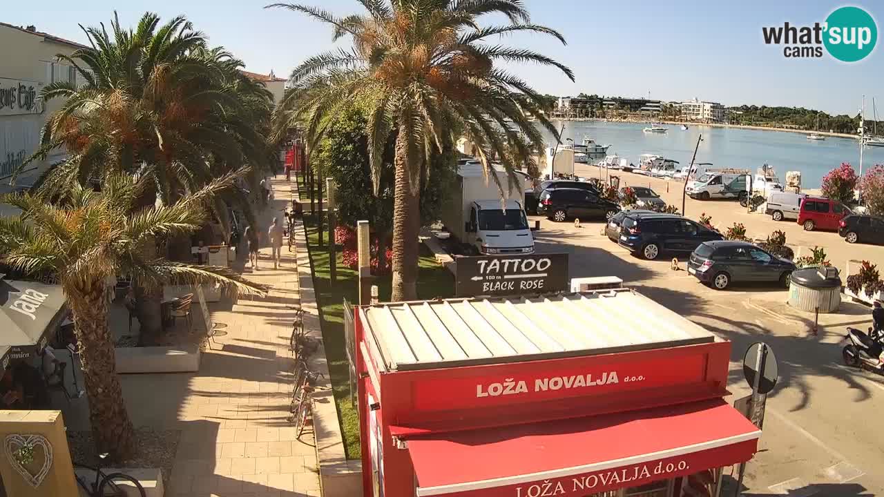 Camera en diecto Novalja – Obala Petra Krešimira IV