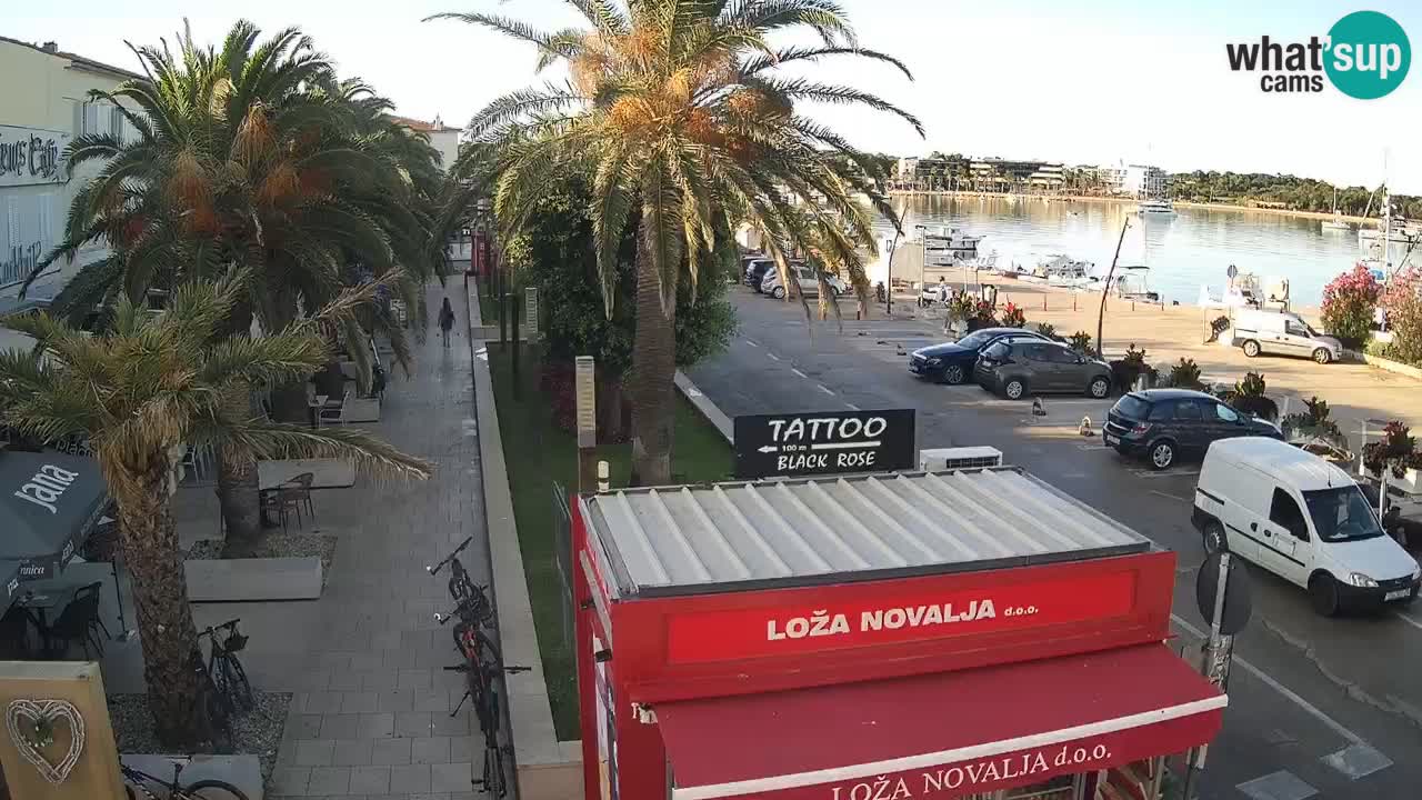 Camera en diecto Novalja – Obala Petra Krešimira IV